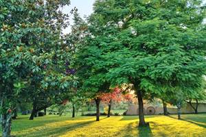 Parc ,différentes essences d'arbres