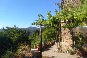 Le Jardin