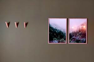 Chambre 4 - my loup