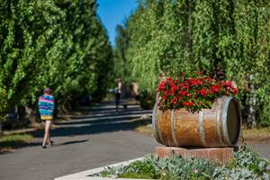 Camping Rivie`re de Cabessut a` Cahors_08 © Lot Tourisme - C. ORY