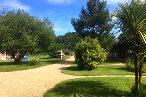 Beaucoup d'espace entre les chalets, pas de voitures dans le parc.