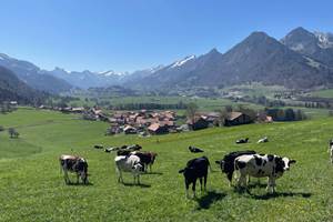 Vue au-dessus de la maison