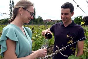 Domaine Rosfelder _6