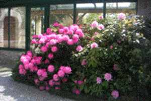 Entrée maison d'hôtes