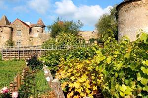 Château Pontus de Tyard proche de Bed and Bourgogne - Chambres d'hôtes à Messey-sur-Grosne