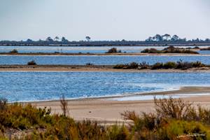 stationbee's-locations-velos-aigues-mortes