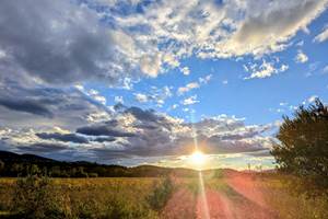Coucher de soleil sur les vignes