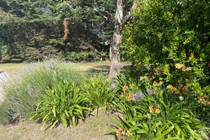jardin3