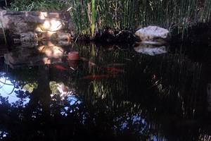 Le Jardin