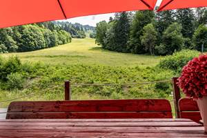 La terrasse avec vue