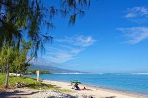 Filaos plage du trou d'eau La Saline-les-bains à 100m de l'appartement