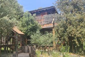cabane dans l'arbre