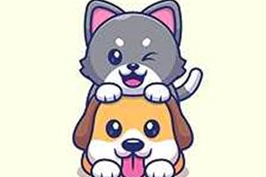 Animal de compagnie chien ou chat