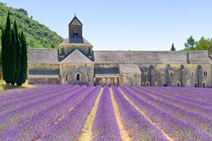 Abbaye de Sénanque