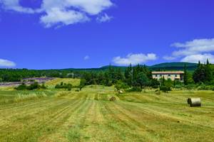 La Bastide du Claus 2020 et le champ de lavande