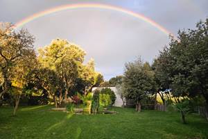 alombredelacheneraie__grand_pic_saint_loup_amoureux_nature_soleil.pdf