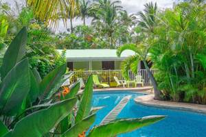 piscine-logement-baobab-et-palmier