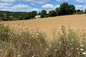 Longère à la campagne