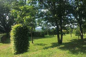 camping aire naturelle