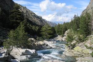 Rivière Restonica