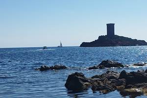 IMG_20260313_134637 (1)