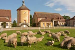 Location-de-gite-pour-sejour-a-la-campagne