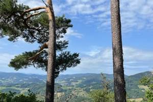 thumbnail_IMG_9480