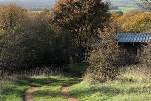 IMG_0944