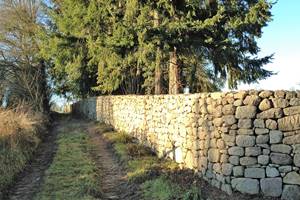 le mur d'enceinte du Domaine de Louveraude