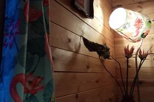 camping-la-perle-creuse-chalet Florida-6personnes-détail salon 2