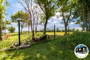 poules-chèvres-paysage-campagne-Angers-gite