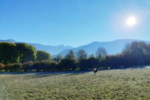 IMG-20201017-WA0001