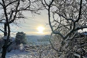 thumbnail_IMG_7204