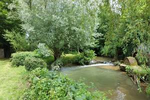 La Planquette murmure au pied du gîte, ajoutant au charme bucolique du lieu.