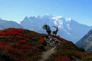 Autumn - Chamonix Valley
