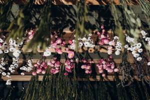 acrocliniums-roses-blancs-sechage-naturel-terralya