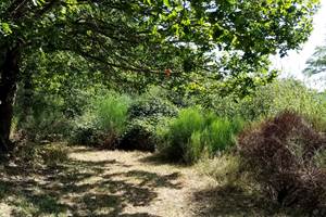 IMG_20210913_114902