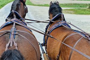 Aimable et Alban