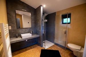 HALTE AIR ET GO - Gîte Cheval Blanc - Salle de Bain