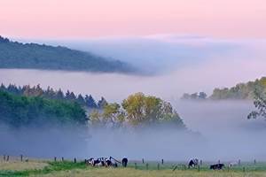 IMG_20250513_063247