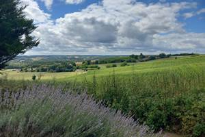 Vue campagne environnante