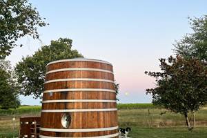 Le Nid des Vignes