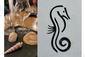 Hippocampe logo de Valras-Plage