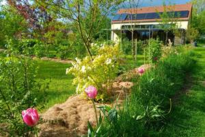 La végétation luxuriante est magnifique au printemps