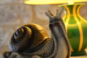 escargot-mascotte