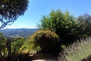 Vue Terrasse