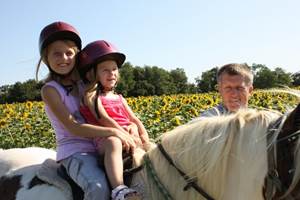 poney