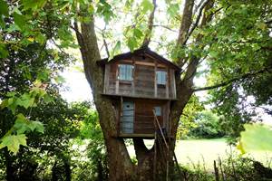 La cabane du grand platane