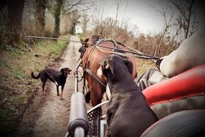 158706312_10218780526692352_225663125986207445_n