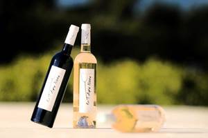 La Tulipe Noire re audrey